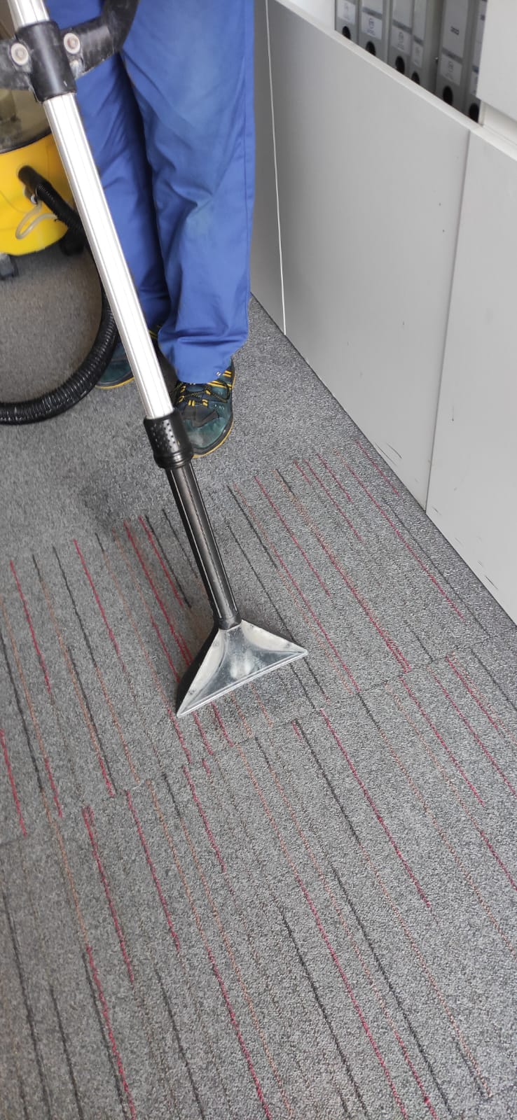 czyszczenie dywanu karcher